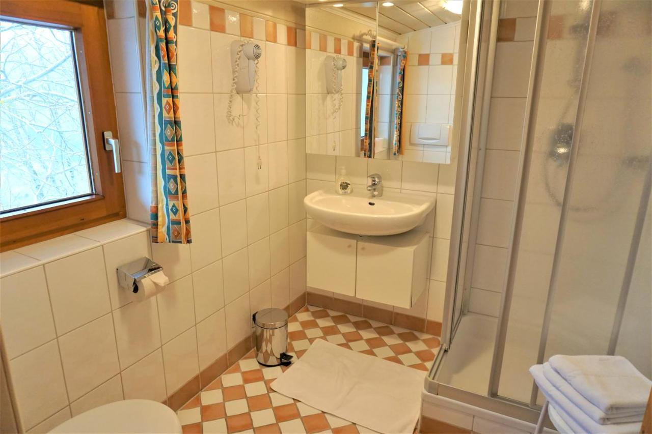 Apartment Stallhaeusl Schladming