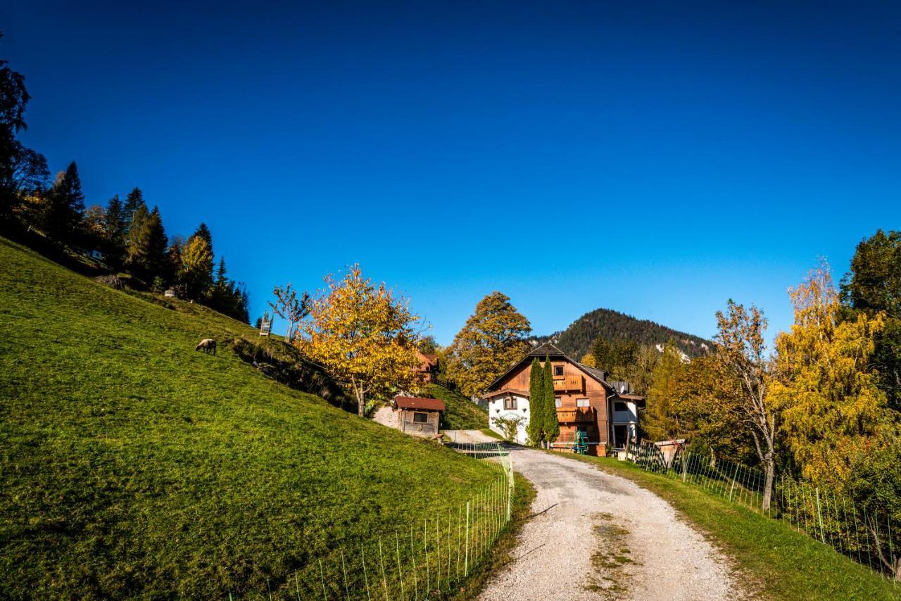 Stallhaeusl Schladming